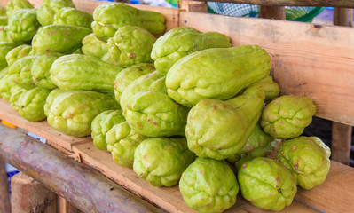Bitter gourd or Chayote on wood in farms of agriculturist