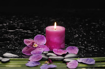 Obraz na płótnie Canvas orchid and green leaf with candle on therapy stones