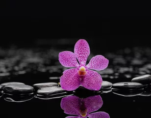 Gordijnen Zen stones and macro of orchid © Mee Ting