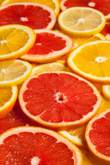 Fototapeta na wymiar Colorful citrus fruit slices