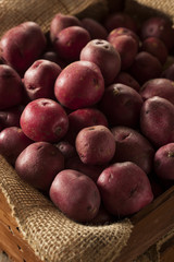 Organic Raw Red Potatoes