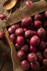 Organic Raw Red Potatoes