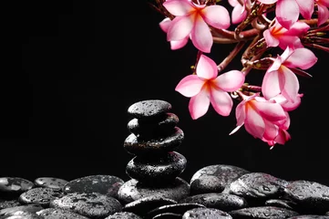  tak van frangipani met gestapelde zwarte natte stenen © Mee Ting