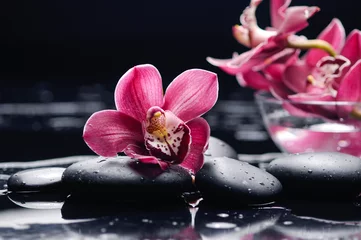 Foto op Plexiglas branch red orchid with leaf and stones on wet background © Mee Ting