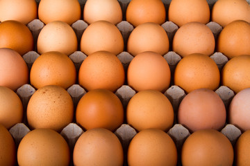 Brown chicken eggs