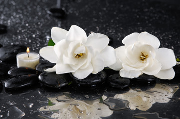 two gardenia with candle on black pebbles