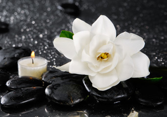 Fototapeta na wymiar Spa still with gardenia flower and candle on pebbles