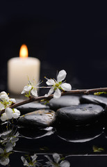 Branch with blossoms with candle and therapy stones