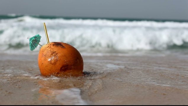 Fresh coconut on the sea beach.