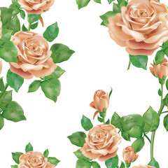 rose_роза_pattern