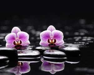 Fototapeta na wymiar Pink two orchid with therapy stones