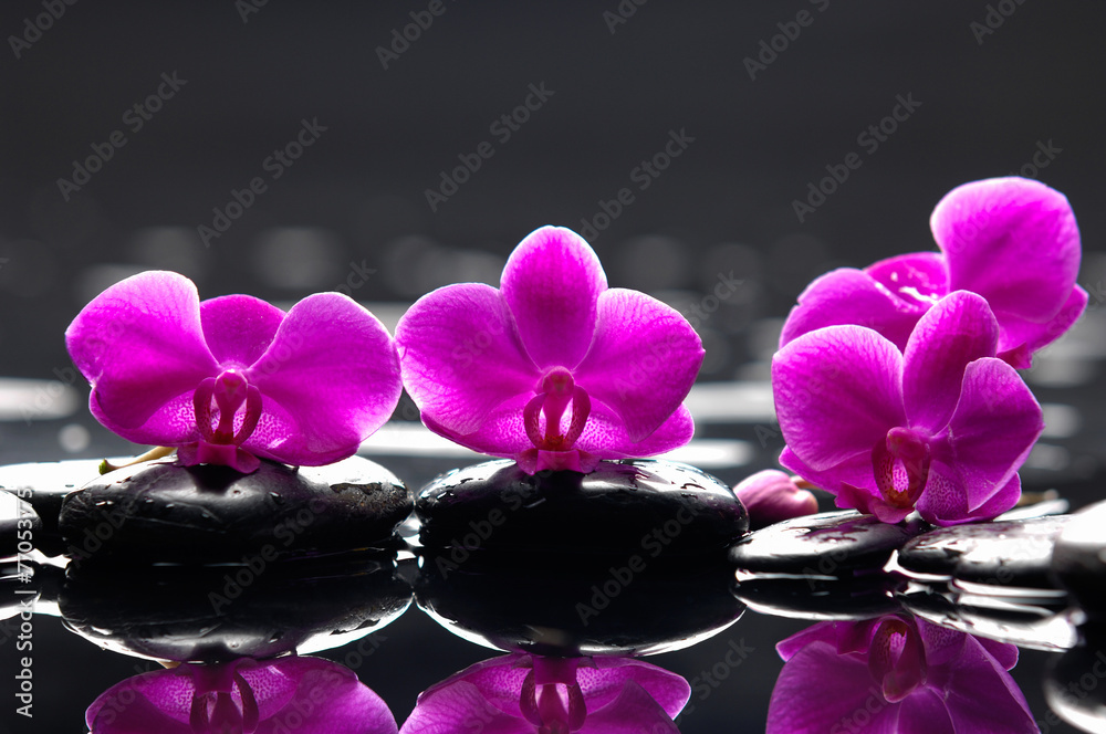 Sticker Set of four orchid with therapy stones