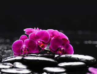 Obrazy na Szkle  Oddział orchidei z kamieniami terapeutycznymi