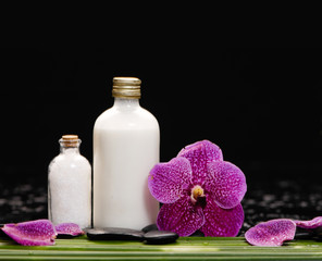 Single orchid with long leaf and stones ,salt in glass