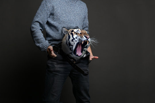 Tiger in Pants