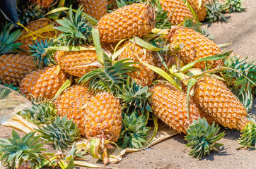 Pineapples on the ground in the market in Sri Lanka