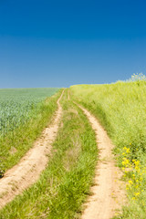 field with a path, Czech Republic