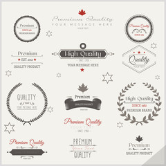 Retro Vintage Insignias or Logotypes set