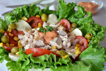 Fresh Healthy Chicken Salad