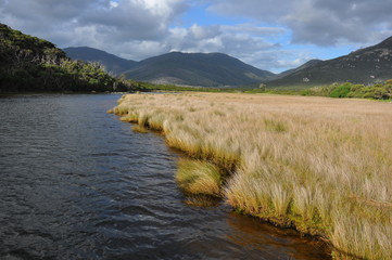 paysage Wilson Promontory