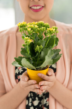 Holding potted flower