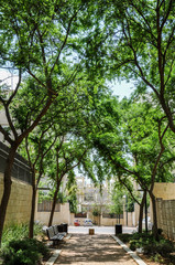 Street in the shade of trees