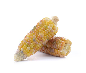 corn on white background