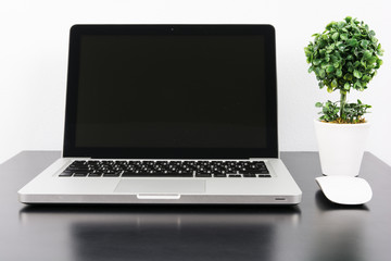Fototapeta premium Laptop and flower pot on black wooden table