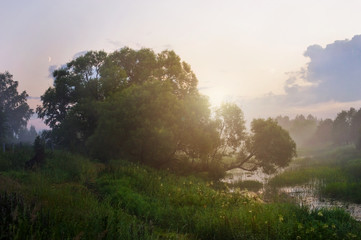 Obraz na płótnie Canvas Landscape. Dawn, fog, river
