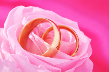 Zwei Ringe mit Rose