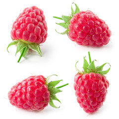Raspberry isolated on white background. Collection. © Tim UR