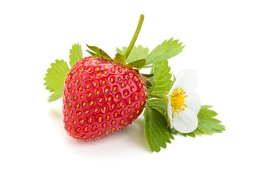 Fresh strawberry.