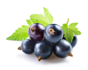 Black currant isolated