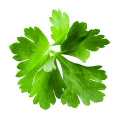 Parsley isolated on white background