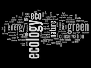 Conceptual ecology word cloud