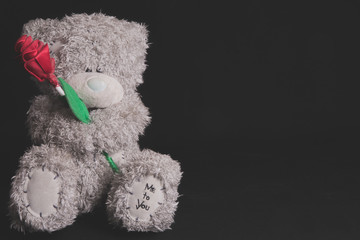teddy Bear with Heart concept valentine ,vintage retro tone