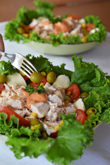 Fresh Healthy Chicken Salad