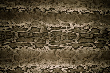 texture of print fabric stripes snake for background