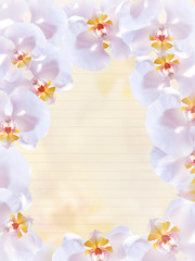 Fototapeta na wymiar decorative ring of orchids with page booklet