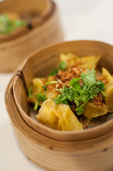 Pork Dumpling