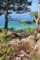 Fototapeta na wymiar Wild beautiful nature and sea in Croatia