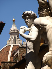 Toscana,Firenze,David di Michelangiolo.