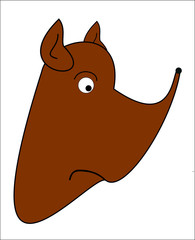 Head brown dog on a white background
