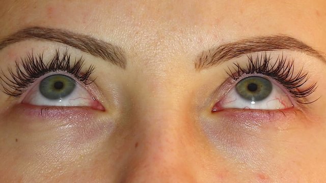 Macro Close-up eye 