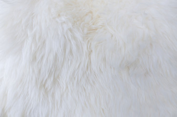 fur texture as background