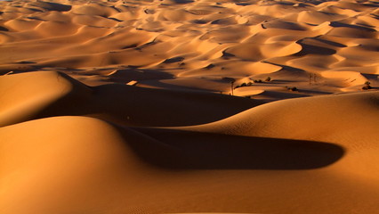 Fototapeta na wymiar Dünen in der libyschen Wüste