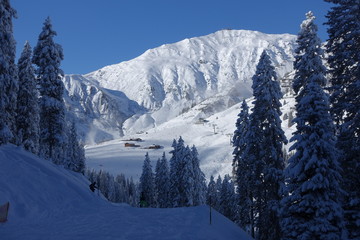 Schigebiet Horberg Mayrhofen im Zillertal