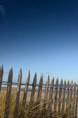 Fototapeta premium bord de mer