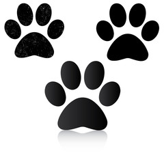 Fototapeta premium Paw Print