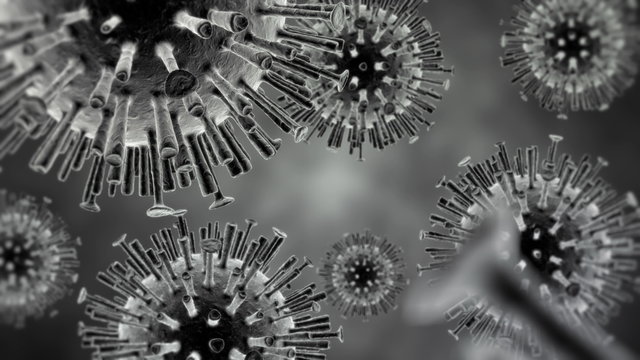 Animated avian flu virus, H5N1.